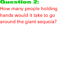 Question 1