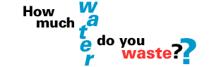 How much water do you waste?